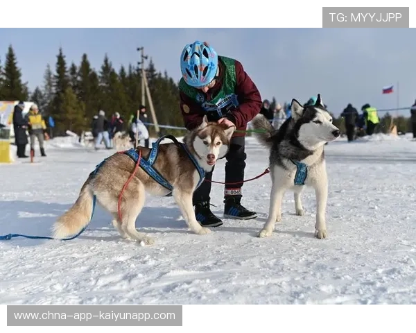 雪橇锦标:俄罗斯队冲击金牌,突破纪录在即!,俄罗斯的雪橇